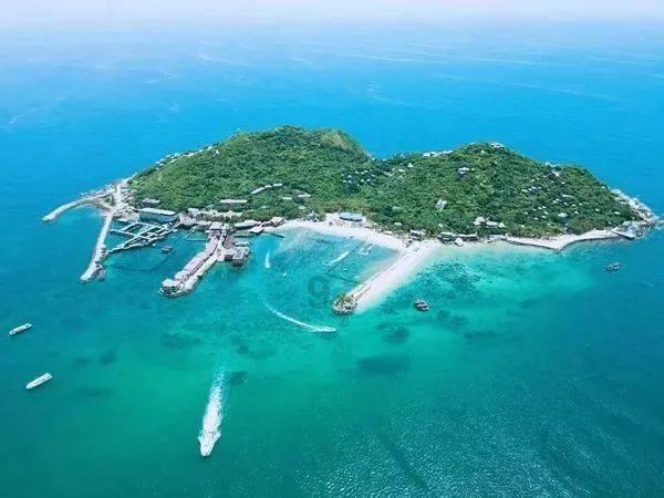 德军总部：新秩序