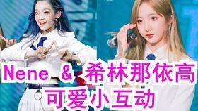 拯救精灵的土地8