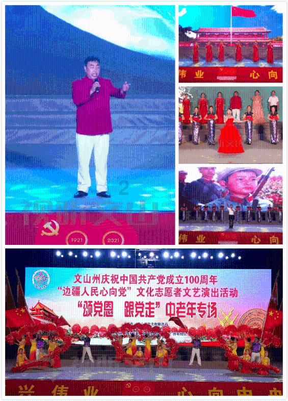 救援猫与武士