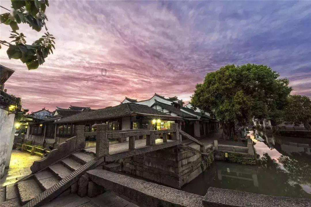 动物帮帮忙保卫家园